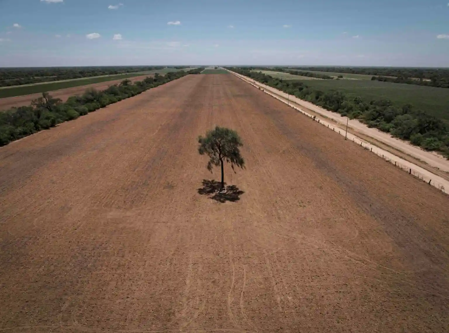 Bolivia se mantiene entre los diez países más críticos en pérdida de bosque primario en el mundo