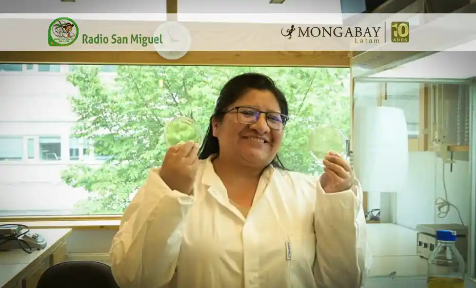 Marisel Mamani: la científica aymara que busca reducir el uso de agroquímicos en Bolivia