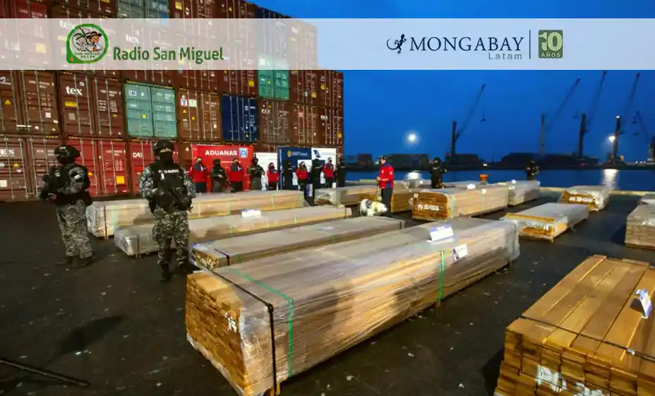El mecanismo narco que arrasa bosques: cómo llegaron 108 toneladas de cocaína y ketamina impregnadas en madera de Bolivia a Chile