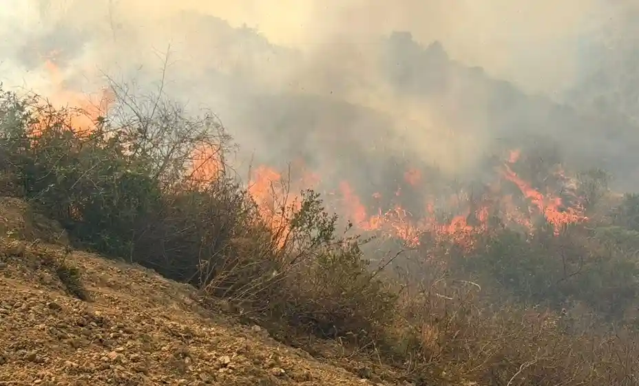 Gobierno estudia alquilar helicópteros y un avión “tanquero” para enfrentar incendios forestales