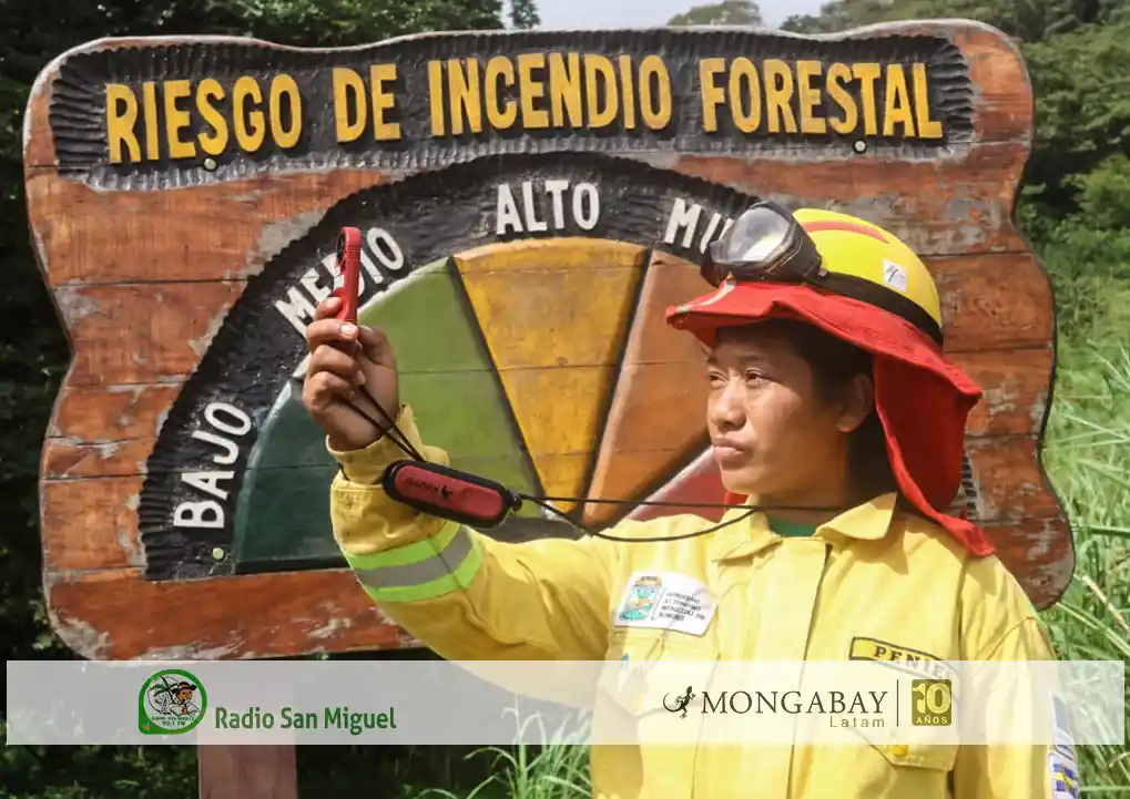Aprender a leer el cielo: una comunidad en Bolivia usa la ciencia para proteger el bosque chiquitano